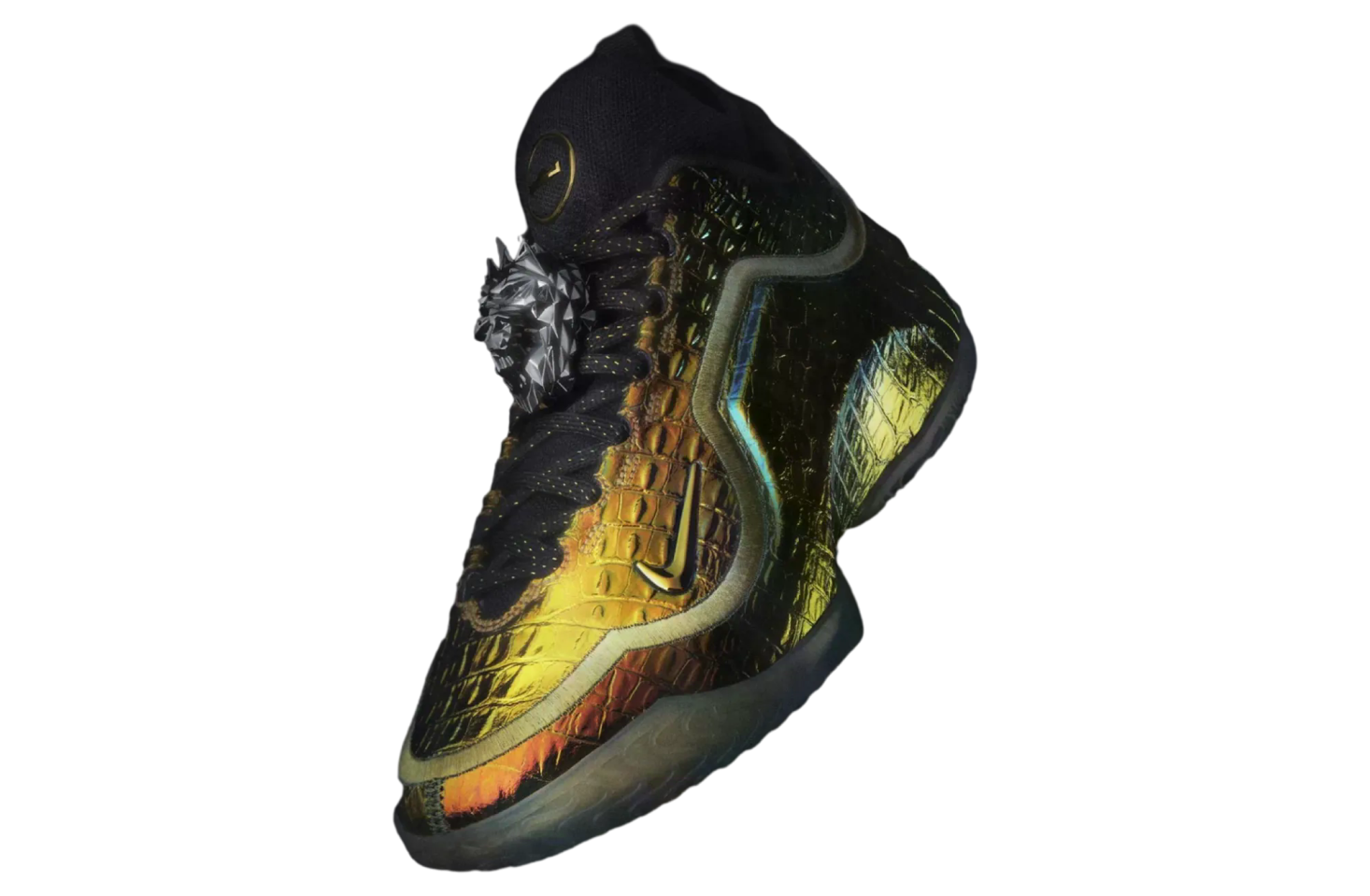 Nike Lebron 23 Warning Label